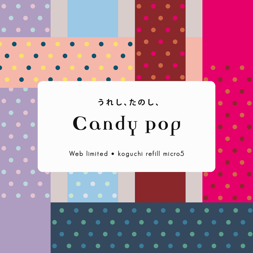 Candy POP！無地 MICRO5 [2599] 手帳の中身(サイズ別) ASHFORD